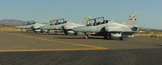 Three Hawks on the tarmac